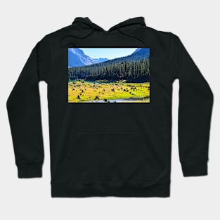 Lake Trail. Hoodie